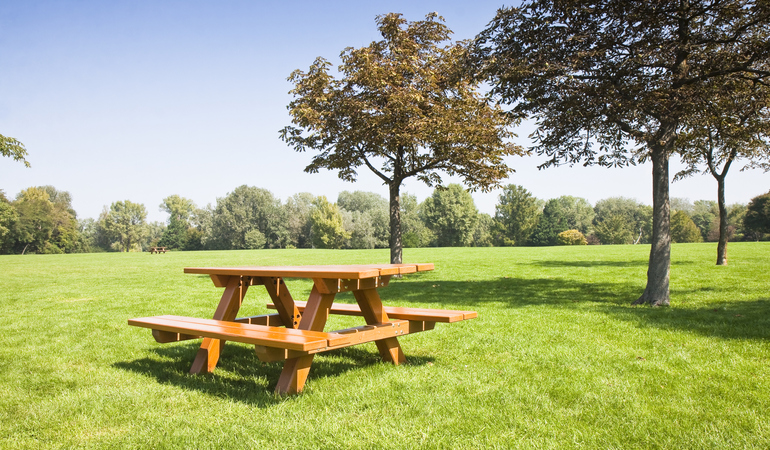 iStock-515455609.jpg