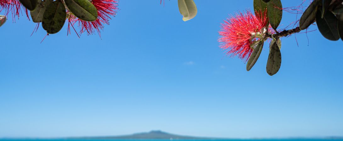 iStock-1291559621.jpg