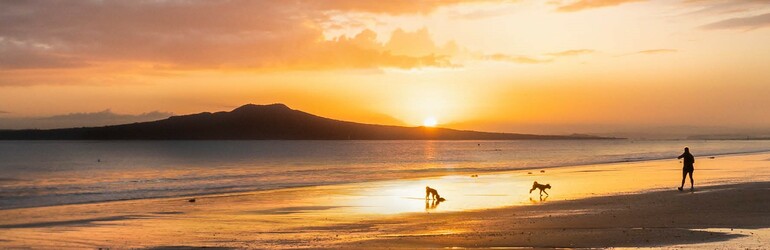 kaipara wellbeing banner 2.jpg