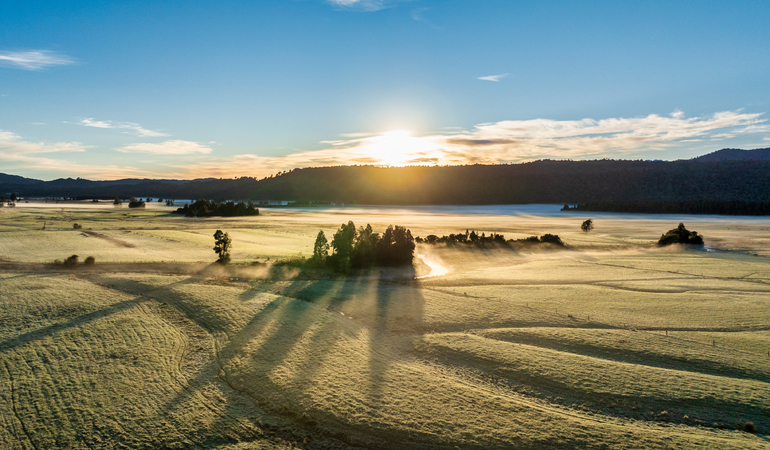 iStock-2156139957.jpg