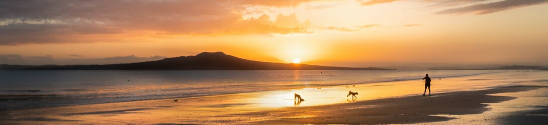 kaipara wellbeing banner 2.jpg