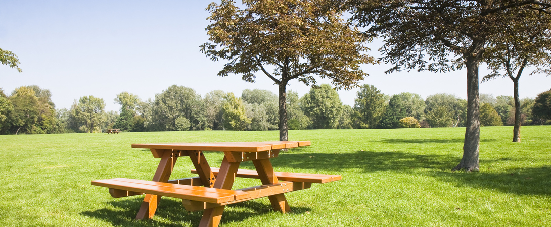 iStock-515455609.jpg