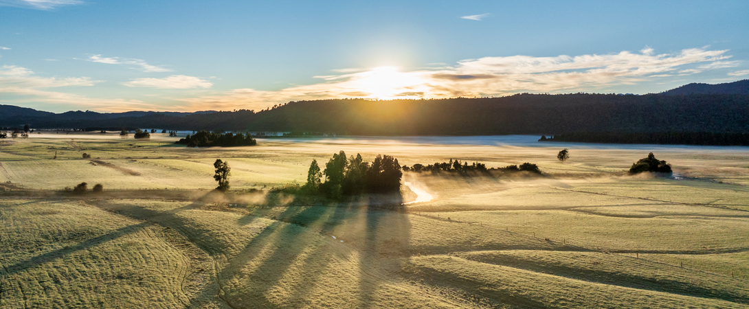 iStock-2156139957.jpg